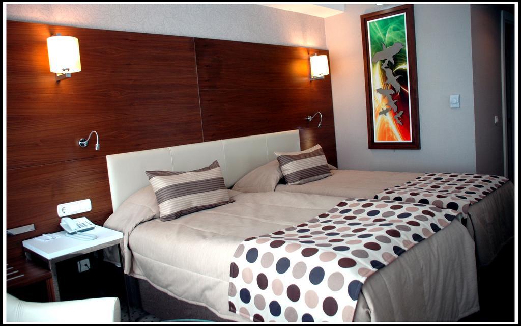 Alba Hotel Ankara Rum bild